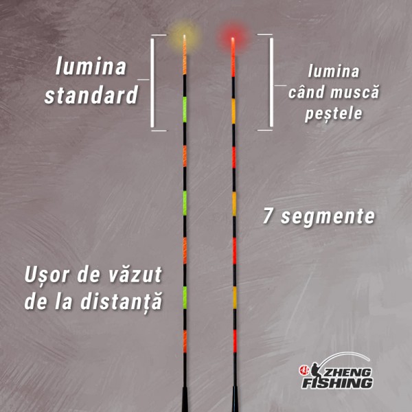 Pluta D01