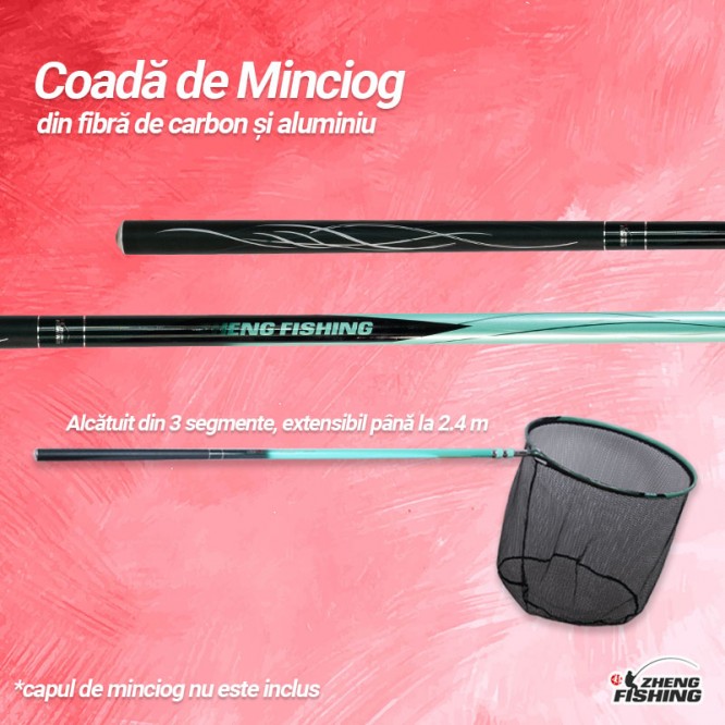 Coada de Minciog